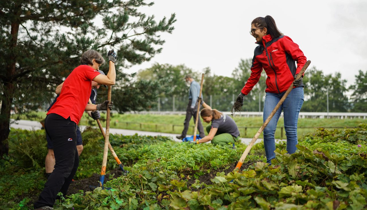 Image alt text (optional)