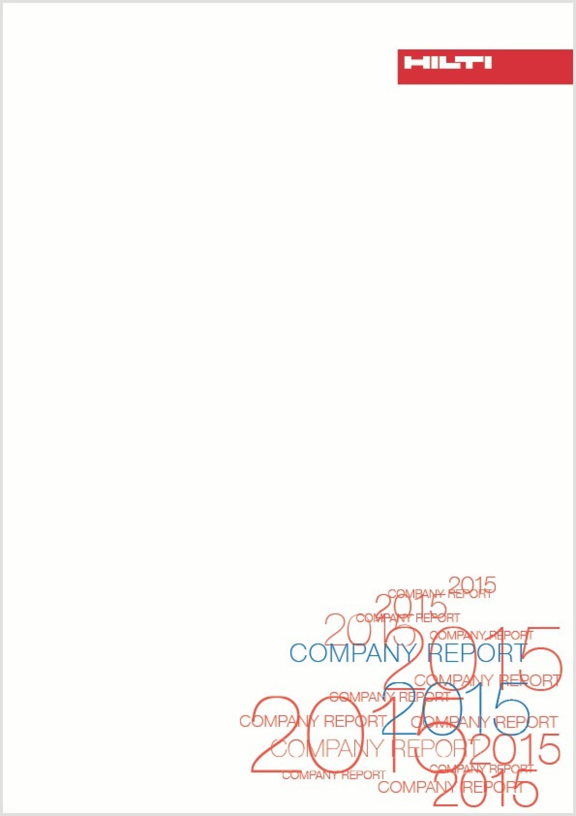Company Report 2015